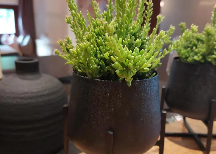 Aignerhof Appartement *